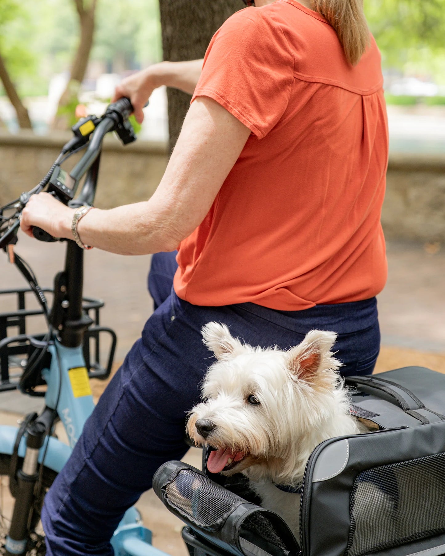 MOONCOOL...High performance; Electric trikes; Folding and Accessories! Save $800 Shop Now!