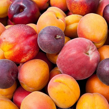 Fruit Cocktail Tree Ships In 1/2 Days